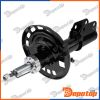 Amortisseur de suspension avant pour RENAULT | A-RE-029, 543020008R